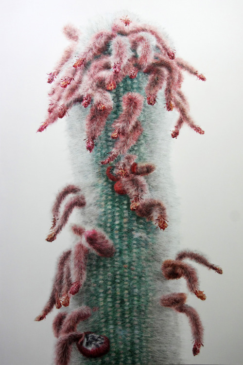 asylum-art-2:  Touchbby Kwangho LeeTouch is a series of hyperreal paintings by Korean artist Kwangho Lee.  the odd thing about cacti is that you actually DO want to touch them,  in all their weird, rubbery, spiky, fluffy glory. you know you  shouldn’t,