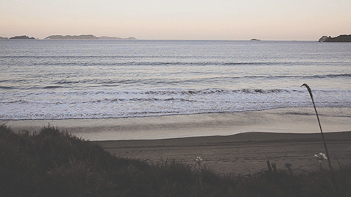 deeplovephotography:  Opito Bay >> NZ  instagram | flickr | facebook