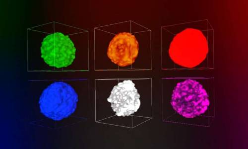 Two X-ray techniques give a 3-D view of why catalysts used in gasoline production go badMerging two 