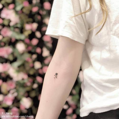 By Chang, done in Manhattan. http://ttoo.co/p/34195 chang;facebook;flower;inner forearm;micro;minimalist;nature;rose;twitter