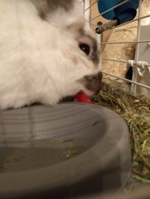 Strawberry!