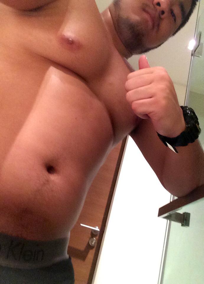 Asia bear