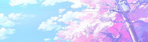 sugayy-deactivated20151005:The Cherry Blossom | ❀ | ✿ | ☆ |