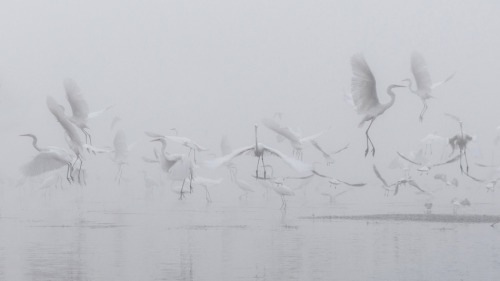 death-by-elocution:  © Robert Radomski 