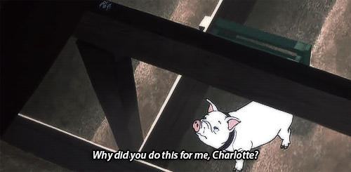 Charlottes Web Explore Tumblr Posts And Blogs Tumgir