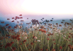 Bvddhist:  Anthony-Samaniego:  Swayin’ Instagram   +