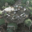 cottagegoremlm