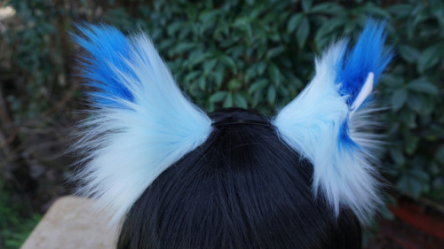  Cat/Fox Headband Ears A pretty blue commission! Love how the baby blue and cobalt blend together. S