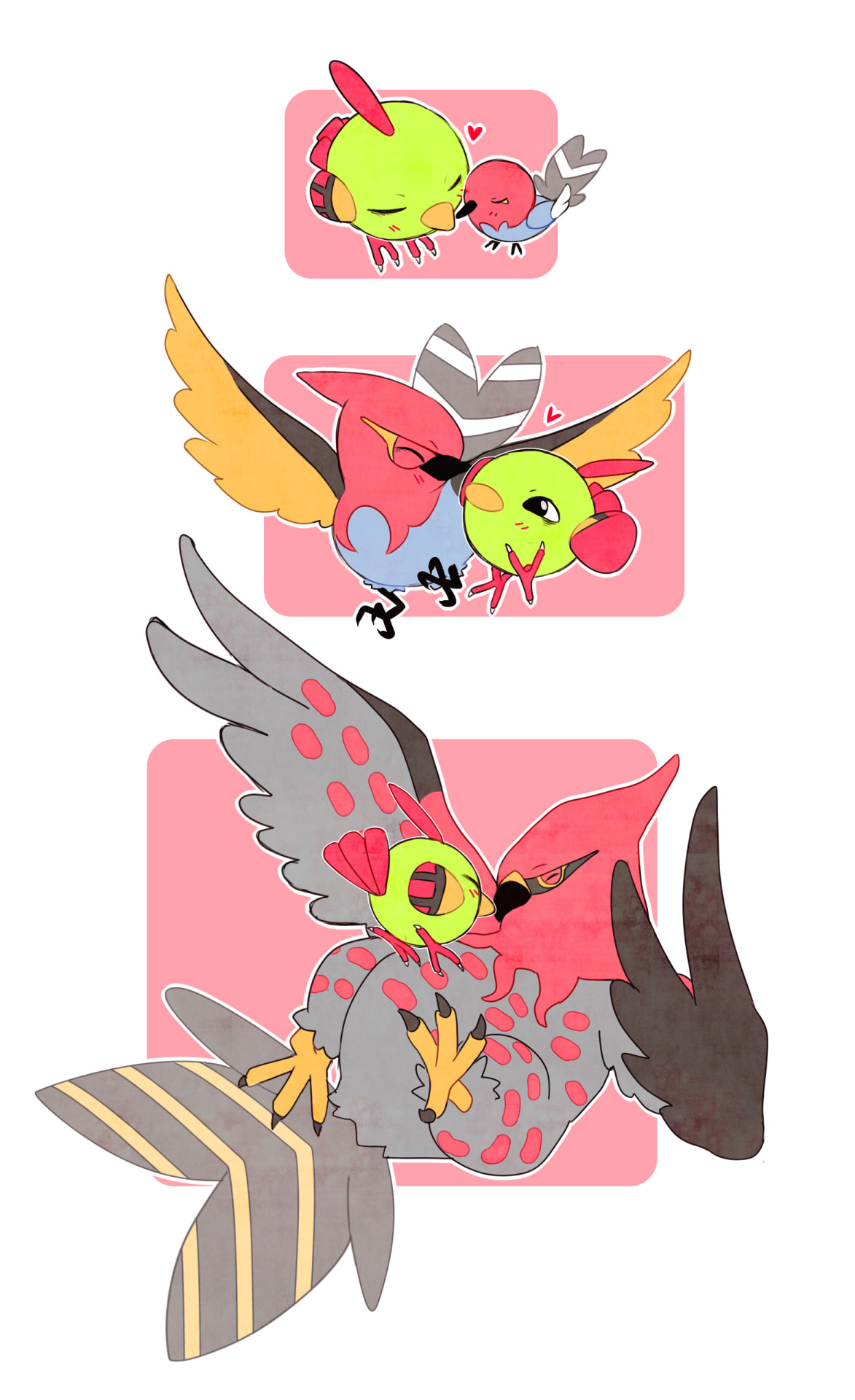 daniiux:  Natu &amp; Fletchling’s evolutions. &lt;3 