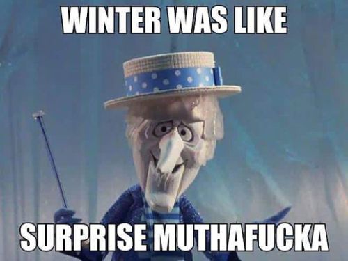 I thought this was funny! ❄️☃ #snowpocalypse2017 #snowmiser