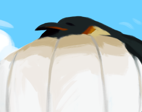 crypitd:(Humboldt) Penguin riding a (Emperor) Penguin Hot Air Balloon for Fat Bird Friday! (Feathere