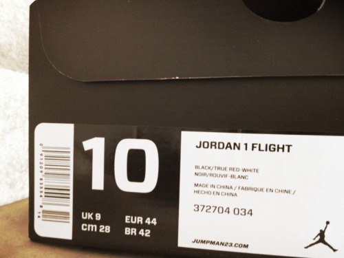 Jordan 1 Flight adult photos