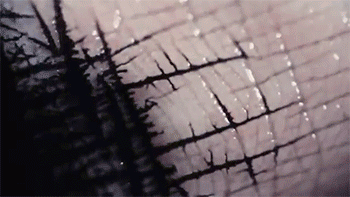 countasscrackula:sizvideos:Ink flowing between the cracks in a human handVideolooks like some evil f