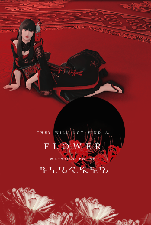 gilgameshs:in darkness blooms the spider lily;