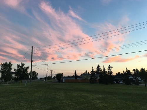 pvnktulip: Elih and I took a walk solely to take pictures of the sunset sky.