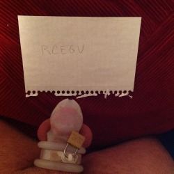 collegecuckold:  Today’s verification picture