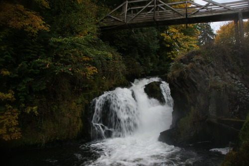 October extras - Tumwater Falls Park