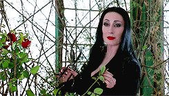 my-psychic-paper:  The Addams family (1991), directed by Barry SonnenfeldOur credo: