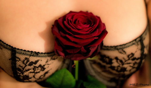 Erotic Sexy Passion.