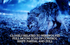 Teen Wolf + Shape Shifters 