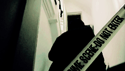 gilbertnorrells-deactivated2015:another meme I won’t finish: [5/10] shows - BBC Sherlock”You’re ordi