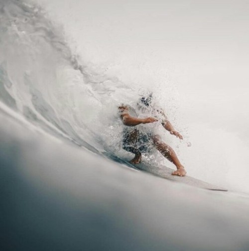 tx-gentleman: - TX|G