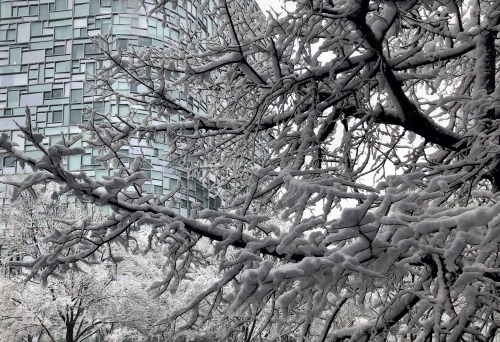 Jean Nouvel (la neige) - West Chelsea, New York City by Andreas KomodromosNew York City winter lands