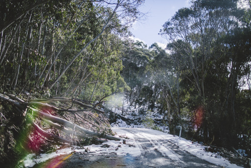 theadventuretruck: We left CRB Campground and started making our way back home to Sydney. We decide