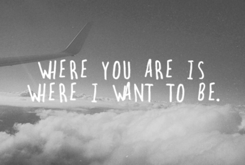 iquoterelatable:  relatable gifs and quotes