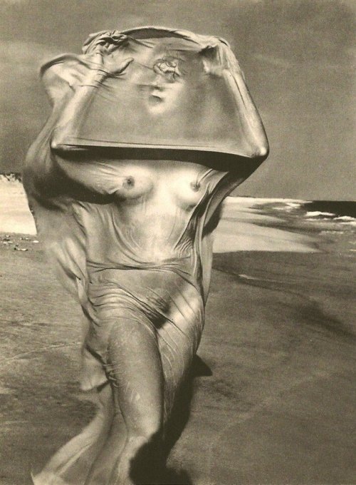 hauntedbystorytelling: André de Dienes :: Nude See-thru, 1958. Heibonsha publishers, Japan (printer)