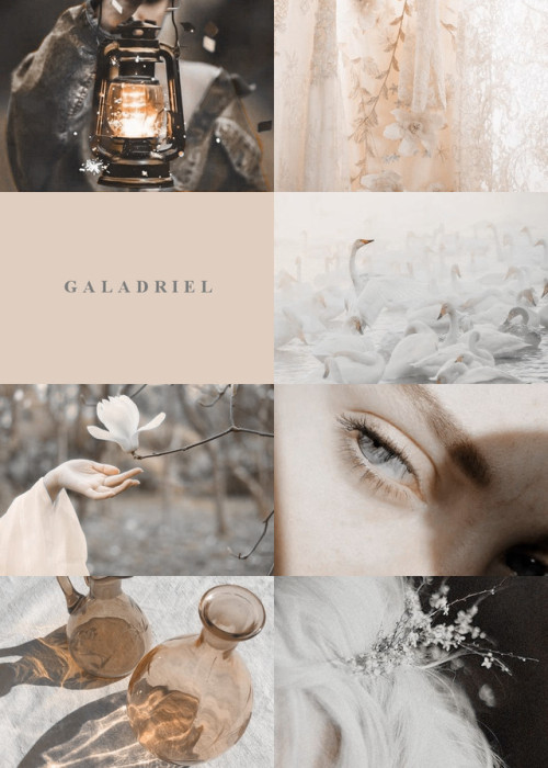guardofcitadel:L O T R : Lady Galadriel (x)