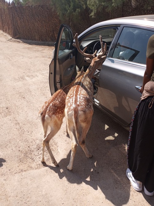 Wasn't Even The Most Insane Part Of The Trip