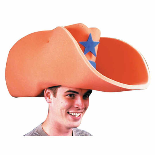 i-am-a-fish:  ponylover35: i-am-a-fish:   southwardfiend:  i-am-a-fish:  graniterock342:  i-am-a-fish:   yeehaw?   Get on my level  howdy stranger, tell me, why on earth would I go all the way down there?  Ex-fucking-scuse me  you’re excused, pardner.