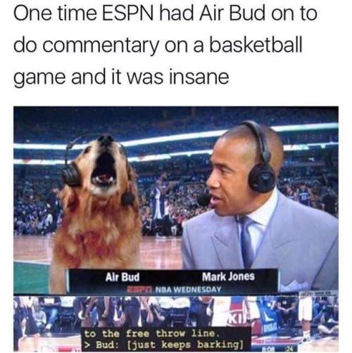Dank Doggos