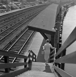 joeinct:Photo by Frank Larson, 1950s 