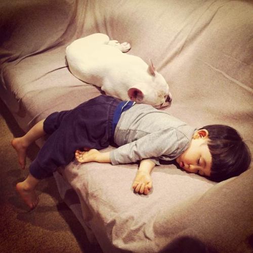 Cute Friendship Between Japanese Boy & His Bulldog