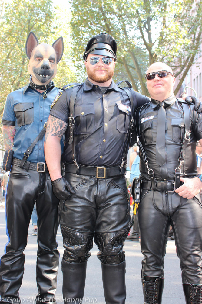 Leather Pups Unite!You can learn more about human pup play here: http://SiriusPup.net
