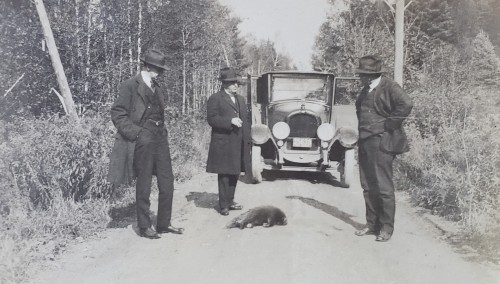 Three Men Discussing A Dead Porcupine. Taken In Or Near Rhode Island, 1923.