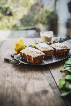 sweetoothgirl: Lemon Cakes 