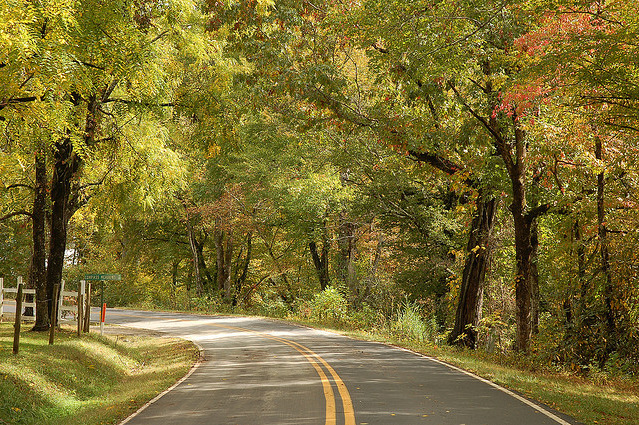 alongthetugfork:  Tusquittee Creek Road in Early October