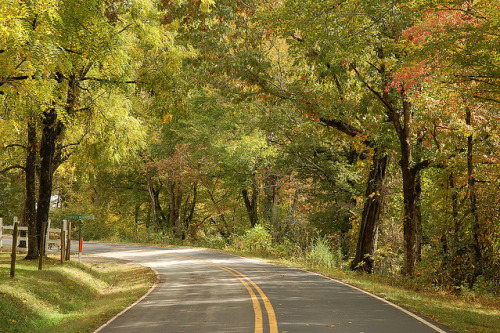 Sex alongthetugfork:  Tusquittee Creek Road in pictures