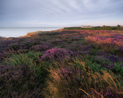 te5seract:In the mix &DunwichbyLee Acaster