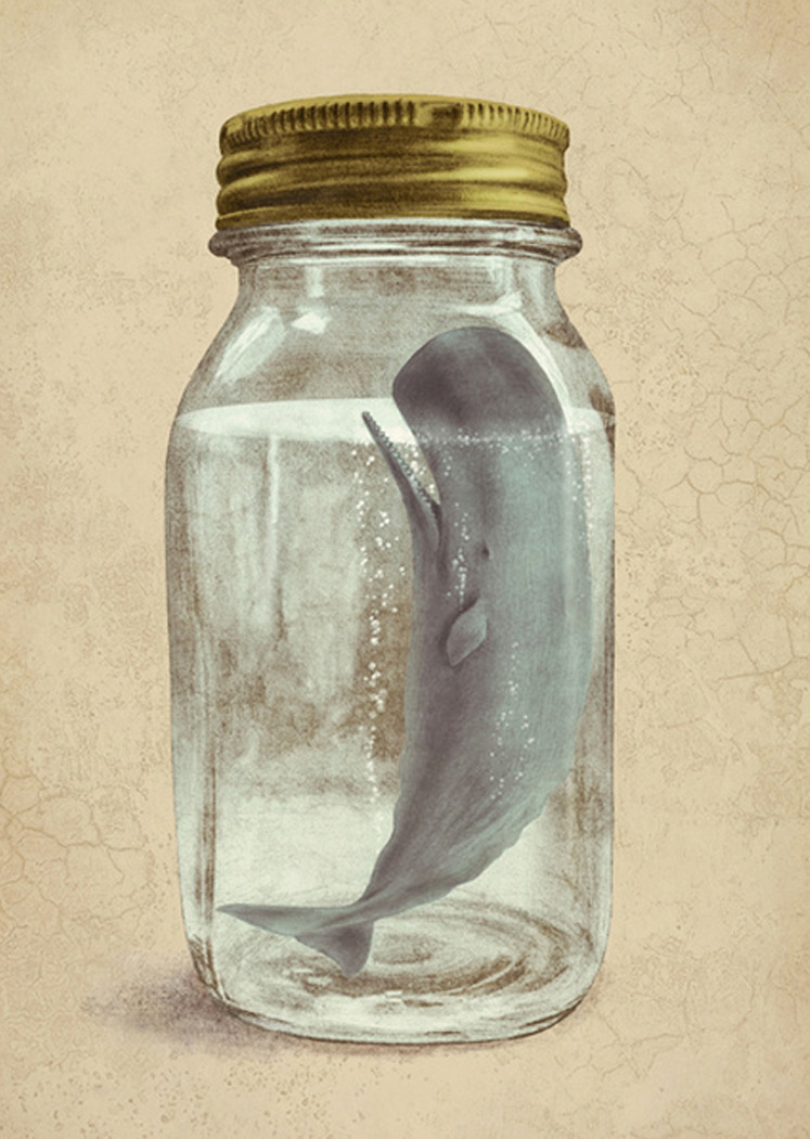 theartofanimation:  Terry Fan