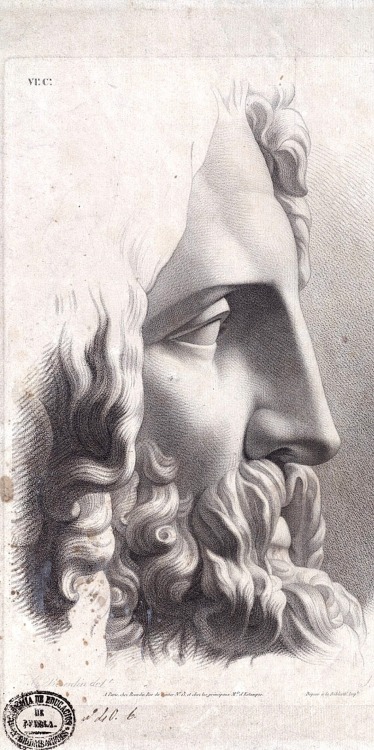 hadrian6:  Profile. 19th.century.    Gédéon François Reverdin French 1722-1828. lithograph.     http://hadrian6.tumblr.com  