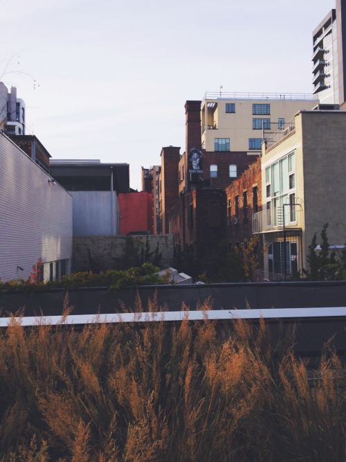New York rooftops as seen from the High Line