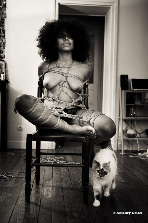 putmeinherplace:  marquisjspalmofpain:  amaury-grisel-shibari:  Makeda and her cat  Shibari & photo : Amaury Grisel  Repost for putmeinherplace   Thanks Marquis! So, that makes 4 bondage-with-cat pictures. Keep them coming.