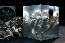 disclosur:  Performance of the Belgian Wim Vandekeybus in the Heerlen Theater August 27 2011 – a 2 hour dance in a glass cube filled with water. Photo: Danny Willems  