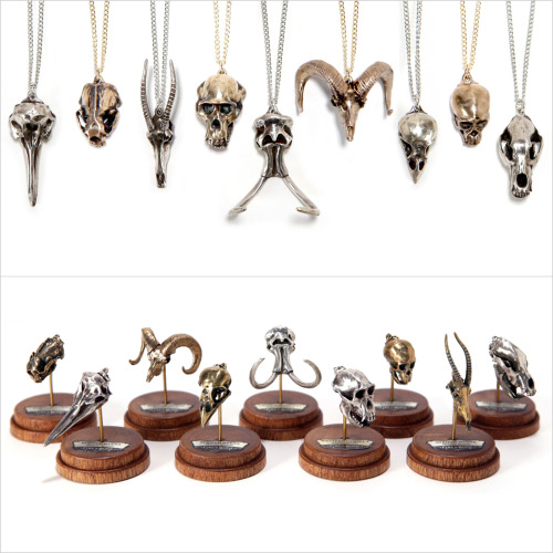 New Kickstarter Collection!  Nine new species, new earrings, and more gemstone skull pendants!Made f