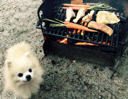 Typical day cooking myself some snacks. Pass the tongs?