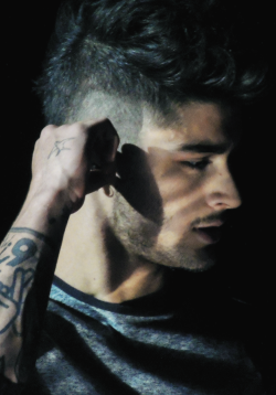 keepingupwithzayn:  Take Me Home Tour. Maverik Center - Salt Lake City, UT. July 25, 2013 [ Source ]. 